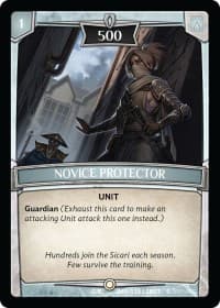 Novice Protector