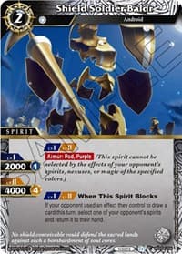 Shield Soldier Baldr