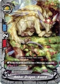 Amber Dragon, Kantal