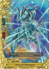 Procyon Melampus