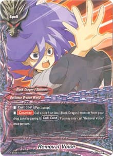 Removal Voice (Secret)