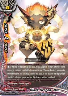 Black Dragon, Nam