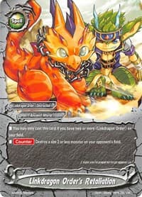 Linkdragon Order's Retaliation