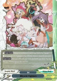Miracle Fighters