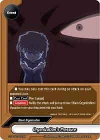 Organization's Pressure