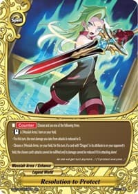 Resolution to Protect
