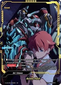 Access Flash (SR)