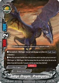 Indigo Dragon, Predegarius