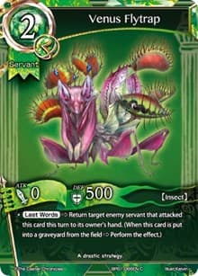 Venus Flytrap