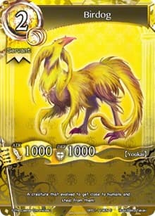 Birdog