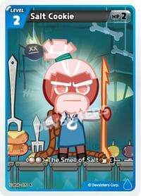 Salt Cookie