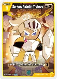 Serious Paladin Trainee