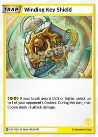 Winding Key Shield