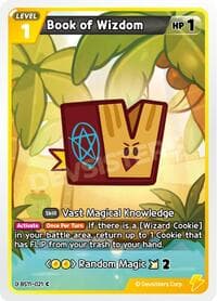 Book of Wizdom