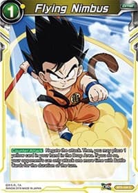 Flying Nimbus (2018)