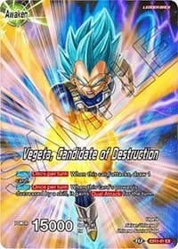 Vegeta // Vegeta, Candidate of Destruction