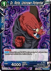Dr. Rota, Unknown Potential (Reprint)