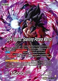 SS4 Son Goku & SS4 Vegeta // SS4 Vegito, Sparking Potara Warrior (SLR)