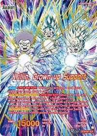 Krillin // Krillin, Grown-up Support (SLR)