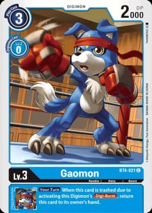 Gaomon