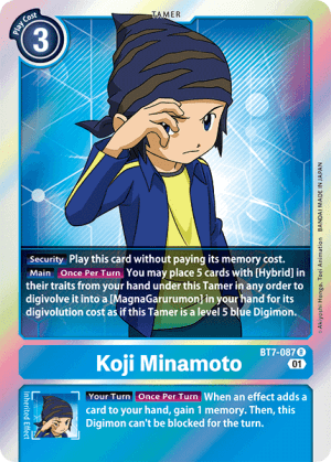 Koji Minamoto
