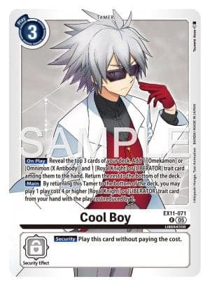 Cool Boy