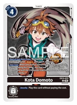Kota Domoto
