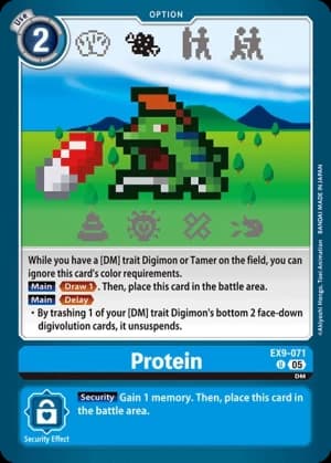 Protein