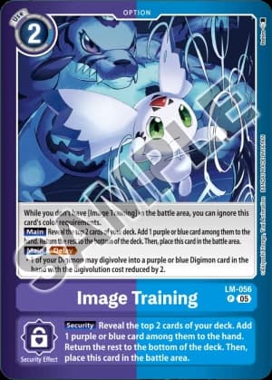 Image Training