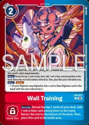 Wall Training