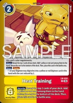 Heat Training