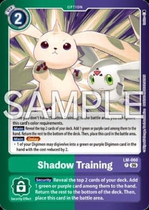 Shadow Training
