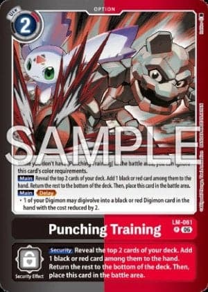 Punching Training