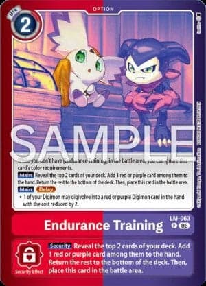 Endurance Training