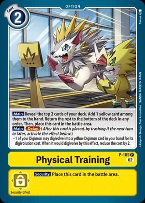 Physical Training
