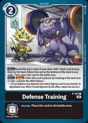 Defense Training