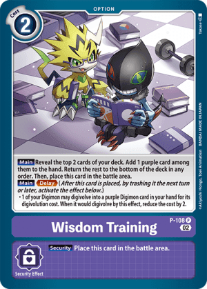 Wisdom Training