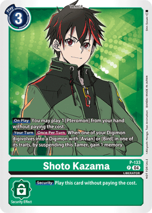 Shoto Kazama