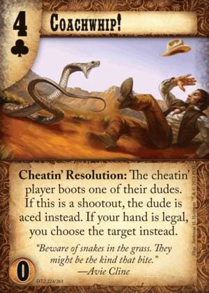 Coachwhip!