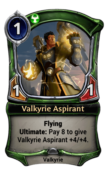 Valkyrie Aspirant