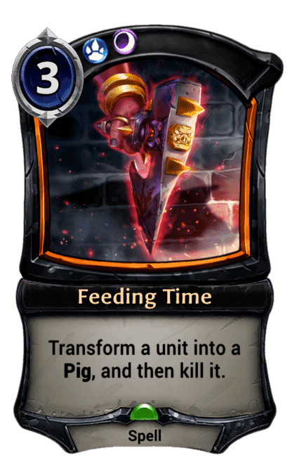 Feeding Time