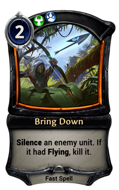 Bring Down
