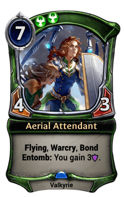 Aerial Attendant