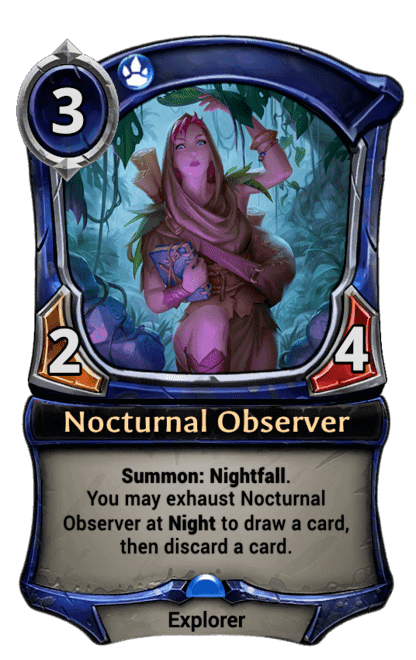 Nocturnal Observer