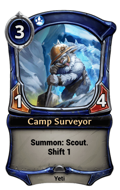 Camp Surveyor