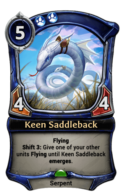 Keen Saddleback