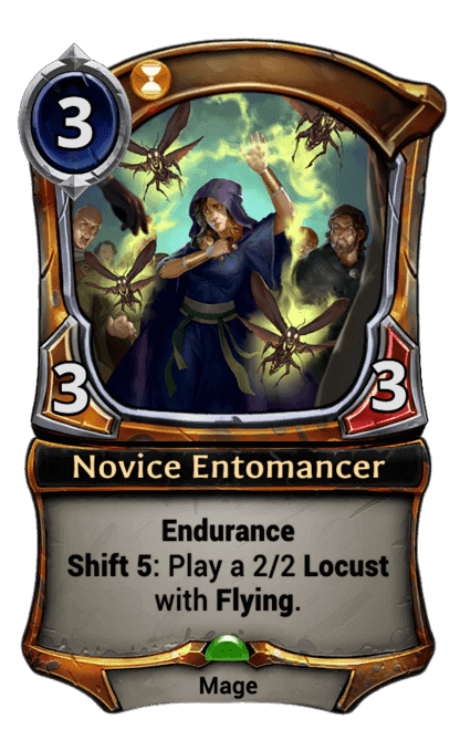 Novice Entomancer