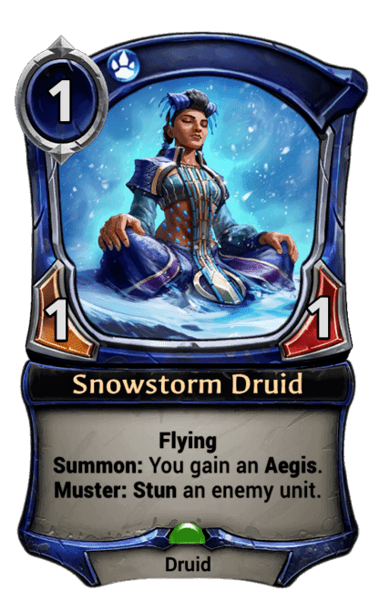 Snowstorm Druid