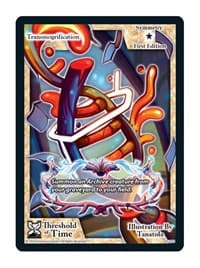 Transmogrification