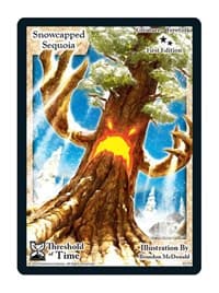 Snowcapped Sequoia